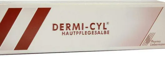 Dermi Cyl Hautpflegesalbe 100 G Salbe