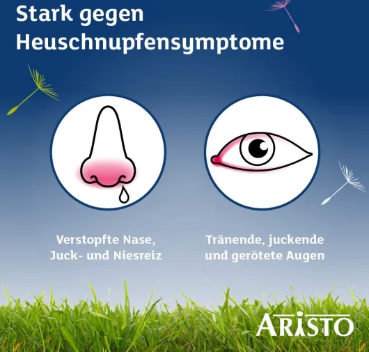 Desloratadin Aristo 5 mg 100 Filmtabletten