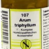 Dhu Arum Triphyllum F Komplex Nr. 107 Tabletten