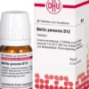 Dhu Bellis Perennis D12 Tabletten