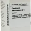 Dhu Causticum Hahnemanni D6 80 Tabletten