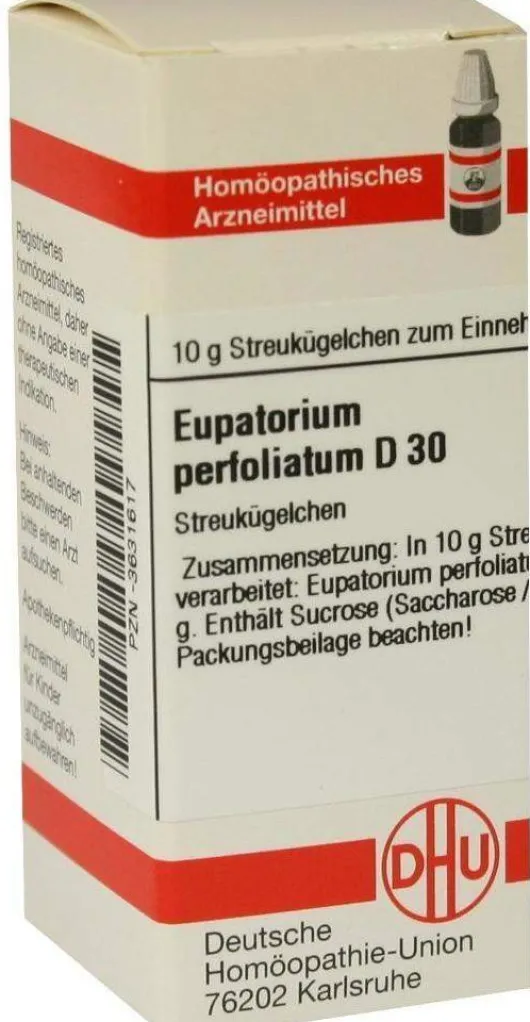 Dhu Eupatorium Perfoliatum D30 Globuli