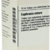 Dhu Euphrasia Extern 20 ml Tinktur