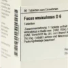 Dhu Fucus Vesiculosus D6 80 Tabletten