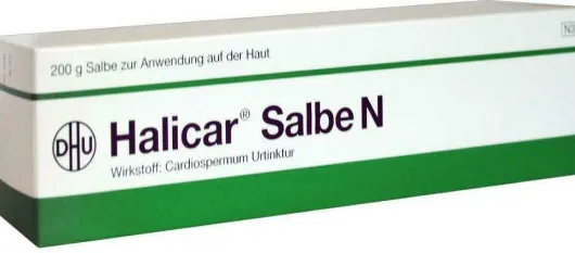 Dhu Halicar Salbe N 200 G