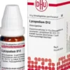 DHU Lycopodium D12 10 g Globuli