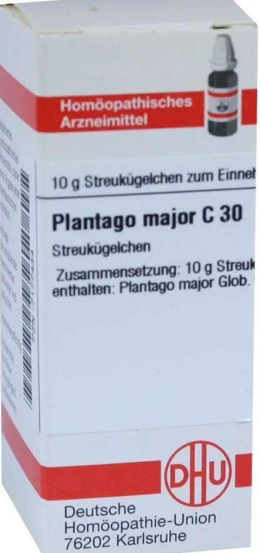 Dhu Plantago Major C30 10 G Globuli