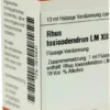 Dhu Rhus Toxicodendron Lm Xii