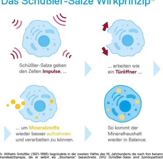 DHU Schüßler-Salz Nr. 5 Kalium Phosphoricum D6 200 Tabletten