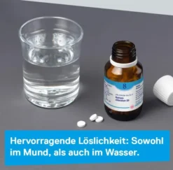 DHU Schüßler-Salz Nr. 8 Natrium chloratum D6 80 Tabletten