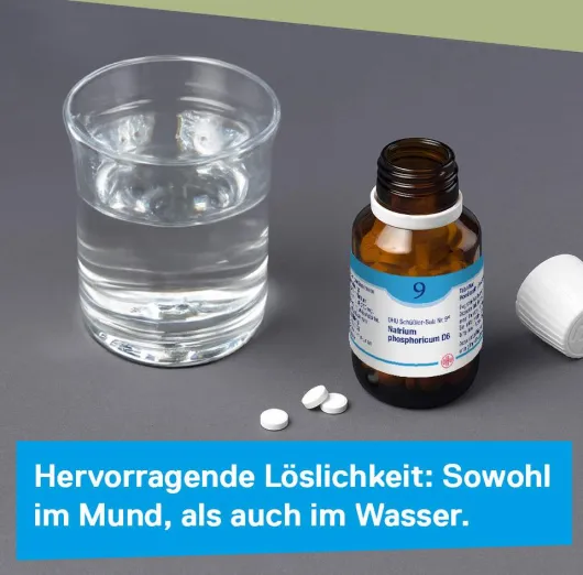 Dhu Schüßler-Salz Nr. 9 Natrium Phosphoricum D6 900 Tabletten
