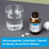 DHU Schüßler-Salz Nr. 9 Natrium phosphoricum D 6 80 Tabletten