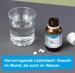 DHU Schüßler-Salz Nr. 9 Natrium phosphoricum D 6 80 Tabletten