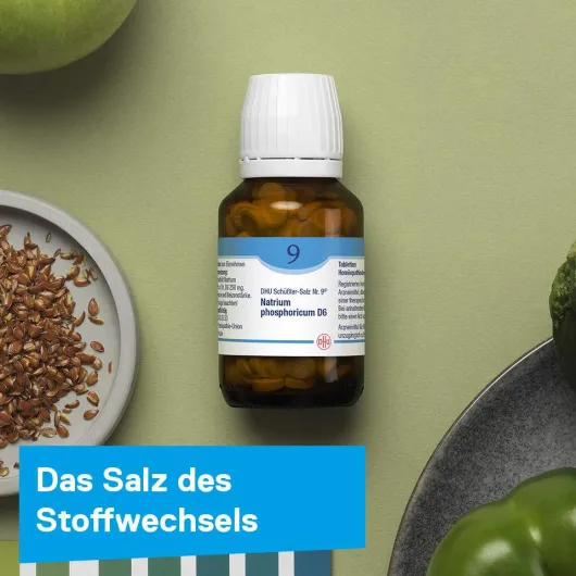 DHU Schüßler-Salz Nr. 9 Natrium phosphoricum D 6 80 Tabletten
