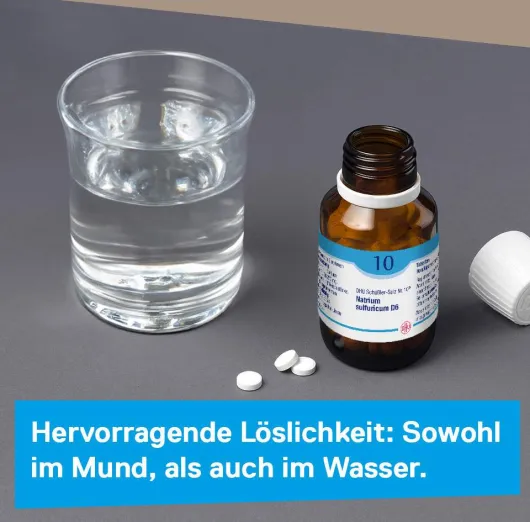 DHU Schüßler-Salz Nr. 10 Natrium sulfuricum D6 80 Tabletten