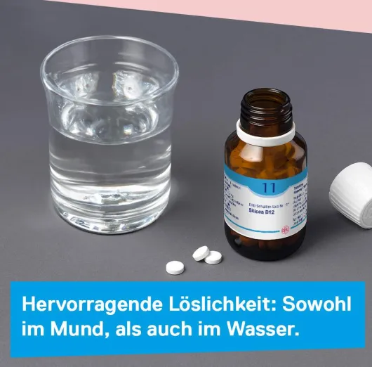 Dhu Schüßler-Salz Nr. 11 Silicea D12 900 Tabletten