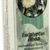 Dinosan Eucalyptus Ölbad