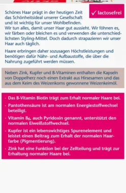 Doppelherz aktiv Haar Vital + Zink + Hirseextrakt 60 Kapseln