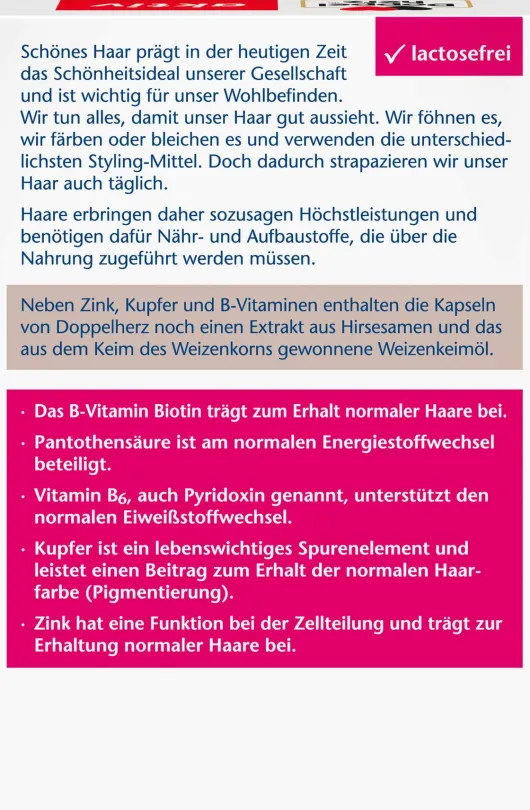 Doppelherz aktiv Haar Vital + Zink + Hirseextrakt 60 Kapseln