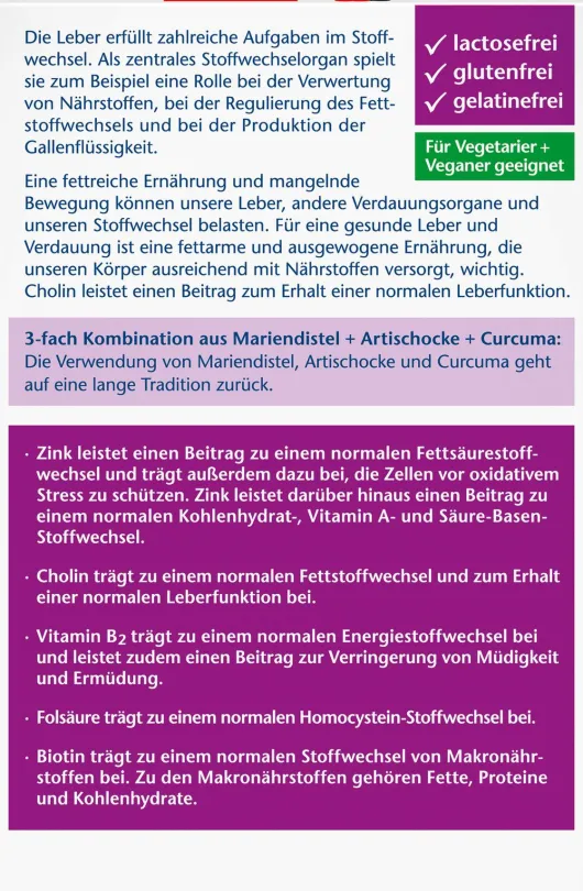Doppelherz Aktiv Leber Plus 80 Kapseln