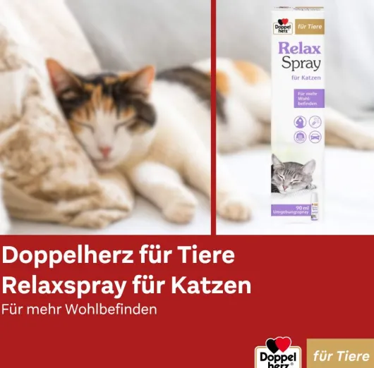Doppelherz Für Tiere Relaxspray Für Katzen 90 ml