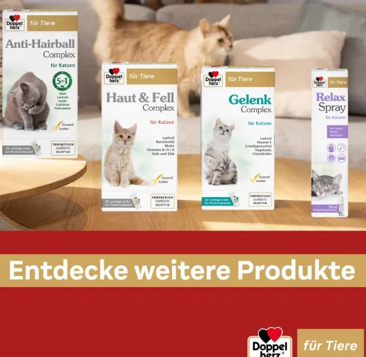 Doppelherz Für Tiere Relaxspray Für Katzen 90 ml