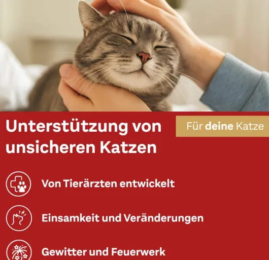Doppelherz Für Tiere Relaxspray Für Katzen 90 ml