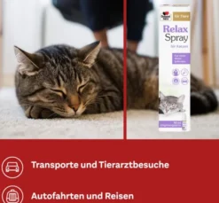 Doppelherz Für Tiere Relaxspray Für Katzen 90 ml
