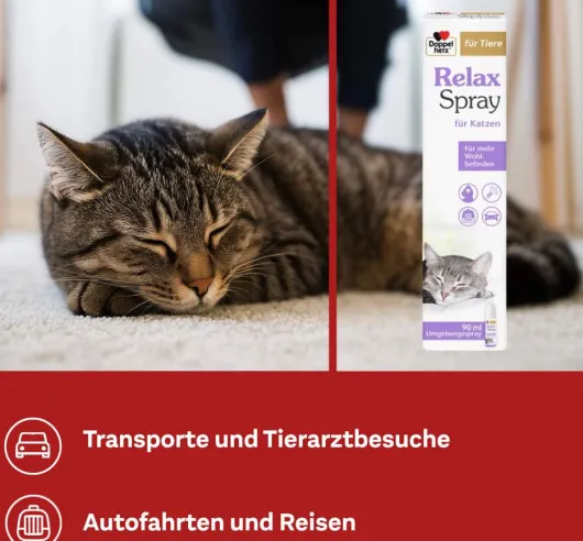 Doppelherz Für Tiere Relaxspray Für Katzen 90 ml
