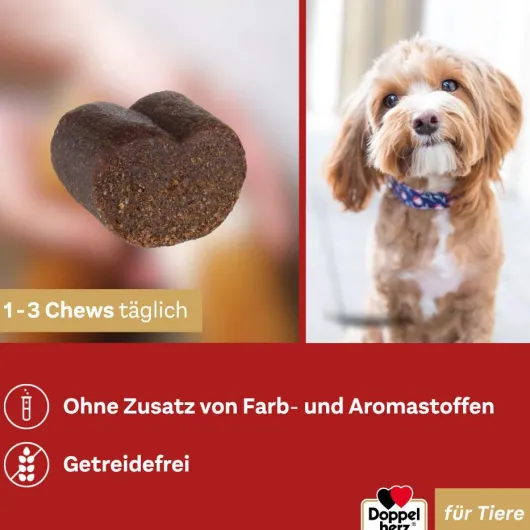 Doppelherz Haut & Fell Complex für Hunde 30 Chews