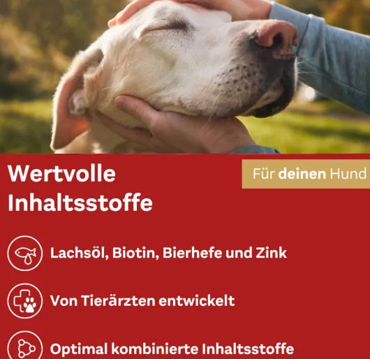 Doppelherz Haut & Fell Complex für Hunde 30 Chews