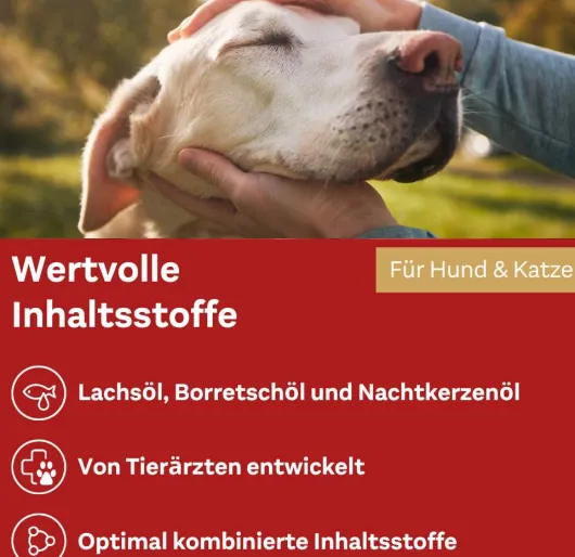 Doppelherz Haut & Fell Öl Für Katzen und Hunde 250 ml