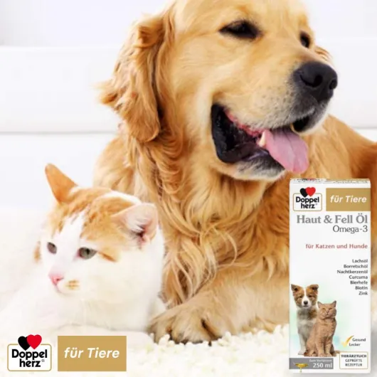 Doppelherz Haut & Fell Öl Für Katzen und Hunde 250 ml