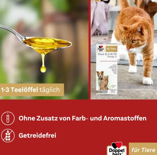 Doppelherz Haut & Fell Öl Für Katzen und Hunde 250 ml