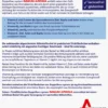 Doppelherz System Immun+aronia 10 Trinkampullen