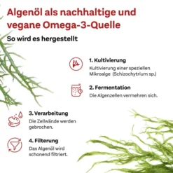 Doppelherz system Omega-3 pflanzlich 60 Kapseln