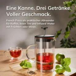 Doppelwandiger Kaffee- & Teebereiter - French Press 1 Stück