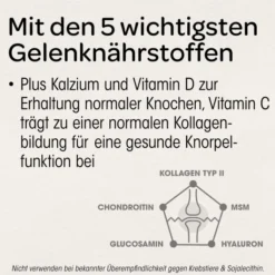 Dr.Böhm Knorpel & Knochen Intensiv 30 Sachets