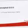 Dura Mater Encephali Gl D 5 Ampullen