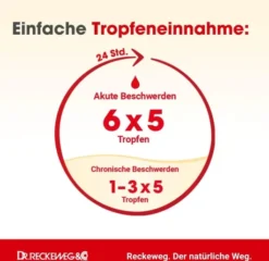 Dysmenorrhoe Gastreu S R75 50 ml Tropfen zum Einnehmen