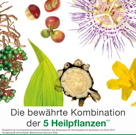 Dysto Loges Tropfen 50 ml