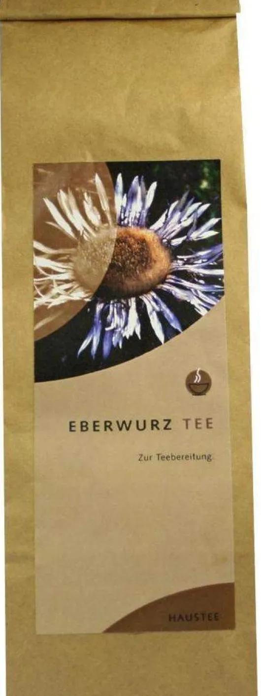 Eberwurztee