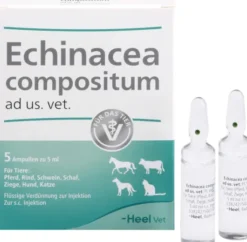 Echinacea Compositum Ad Us. vet. 5 Ampullen