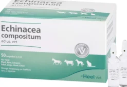 Echinacea Compositum Ad Us. vet. 50 Ampullen