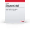 Echinacea Injeel 100 Ampullen