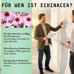 Echinacea Wurzel Extrakt Tropfen alkoholfrei 100 ml