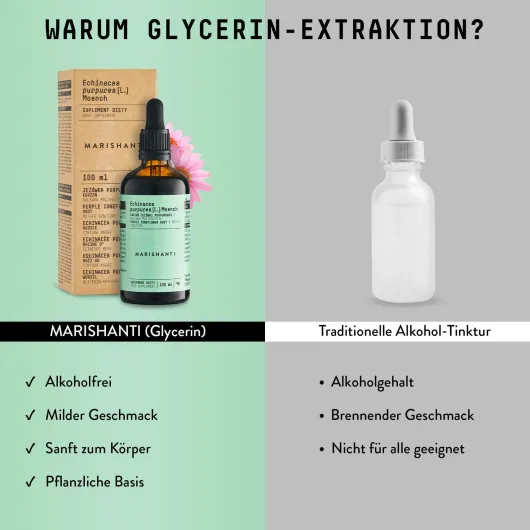 Echinacea Wurzel Extrakt Tropfen alkoholfrei 100 ml