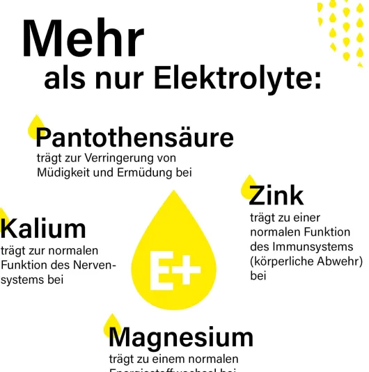 Elektrolyte+ Granulat 20 Sticks