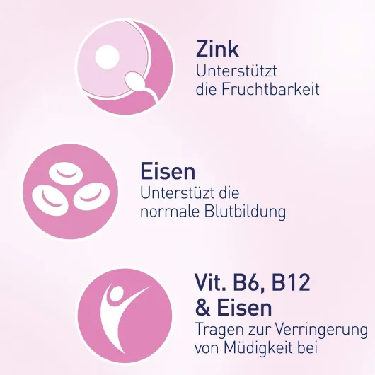 Elevit 1 Kinderwunsch & Schwangerschaft 90 Tabletten