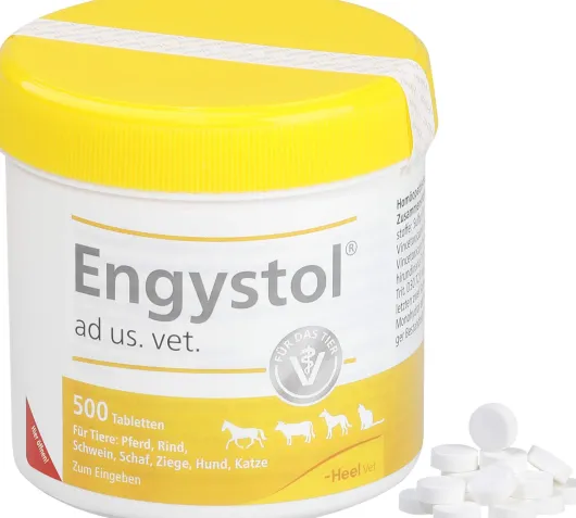 Engystol Ad Us.Vet. 500 Tabletten